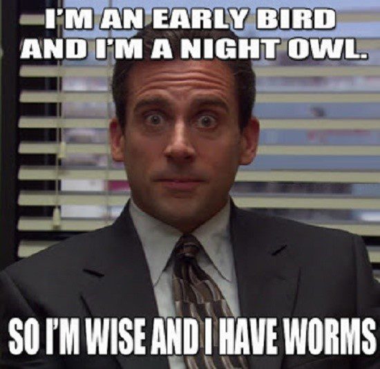 I'm An Early Bird And A Night Owl, So I'm Wise And I Have Worms - The Office Meme