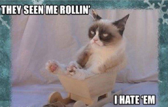 They See Me Rollin', I Hate Em.