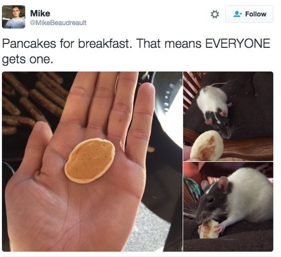 Everyone Gets Pancakes