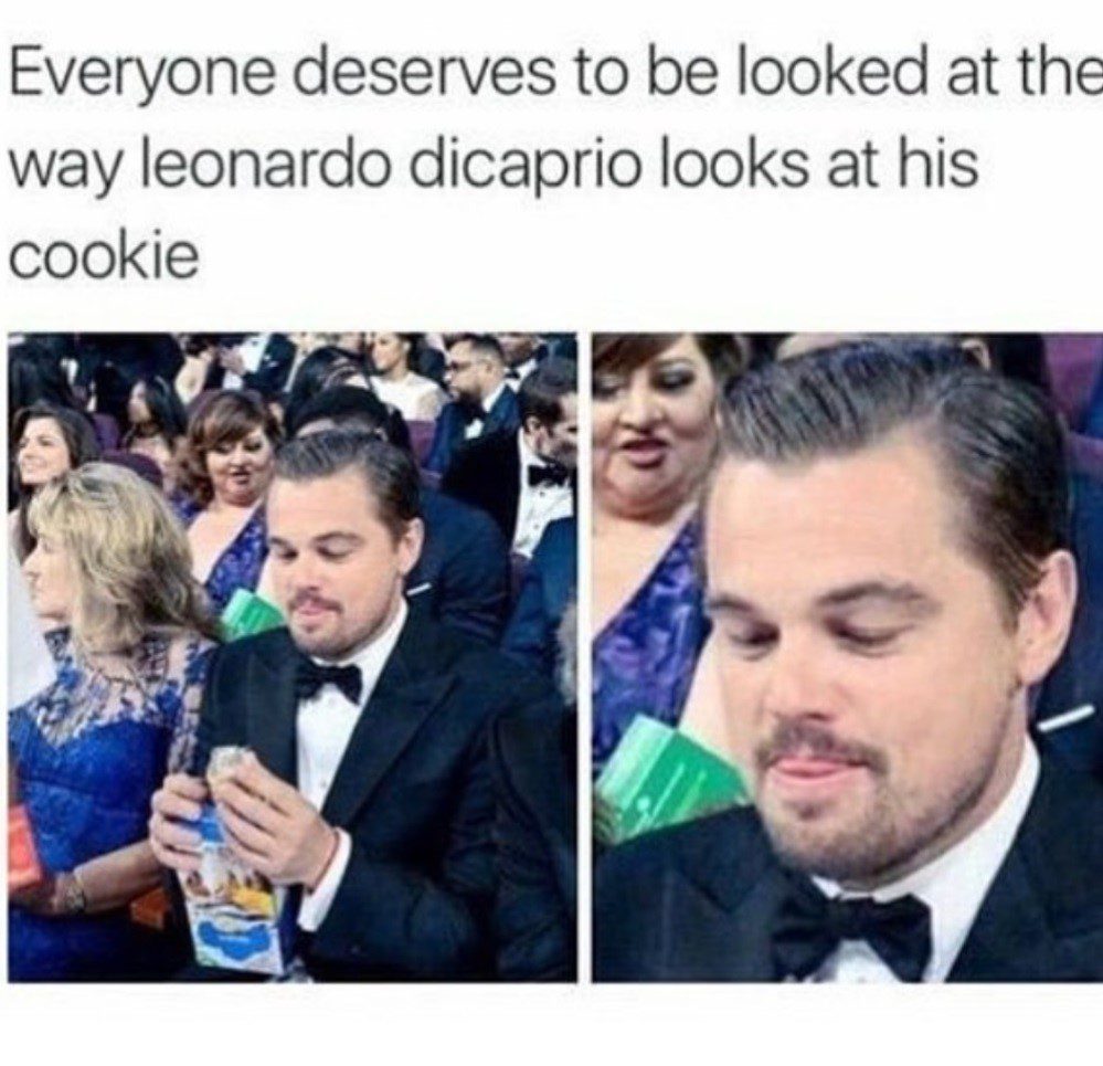 The Way Leonardo Looks At His Cookie