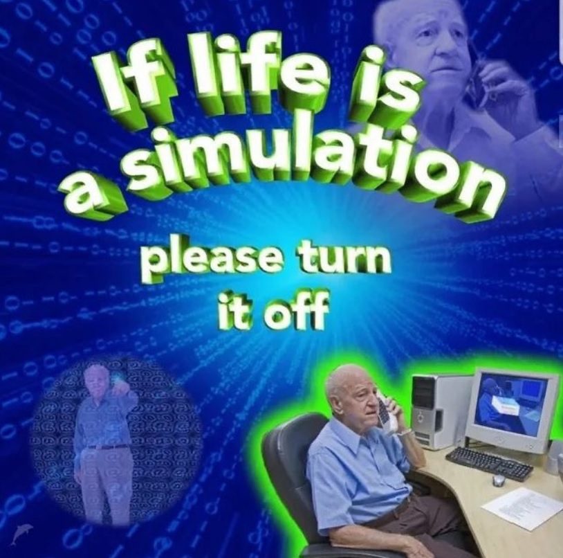 Life Is A Simulation